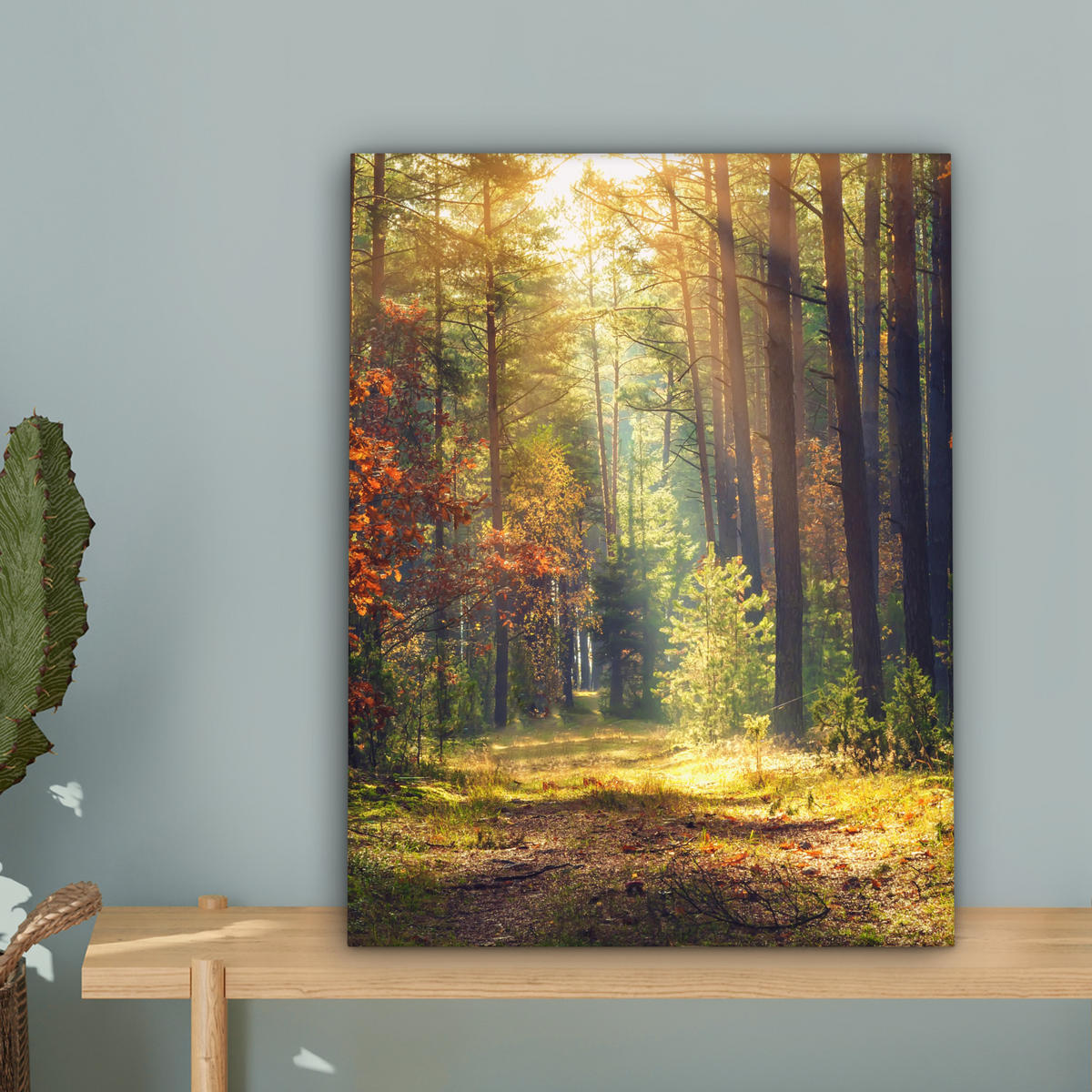 LEINWANDBILD Wald - Herbst - Bäume 30x40 cm - Dunkelgrün, Textil (30/40cm) - MuchoWow
