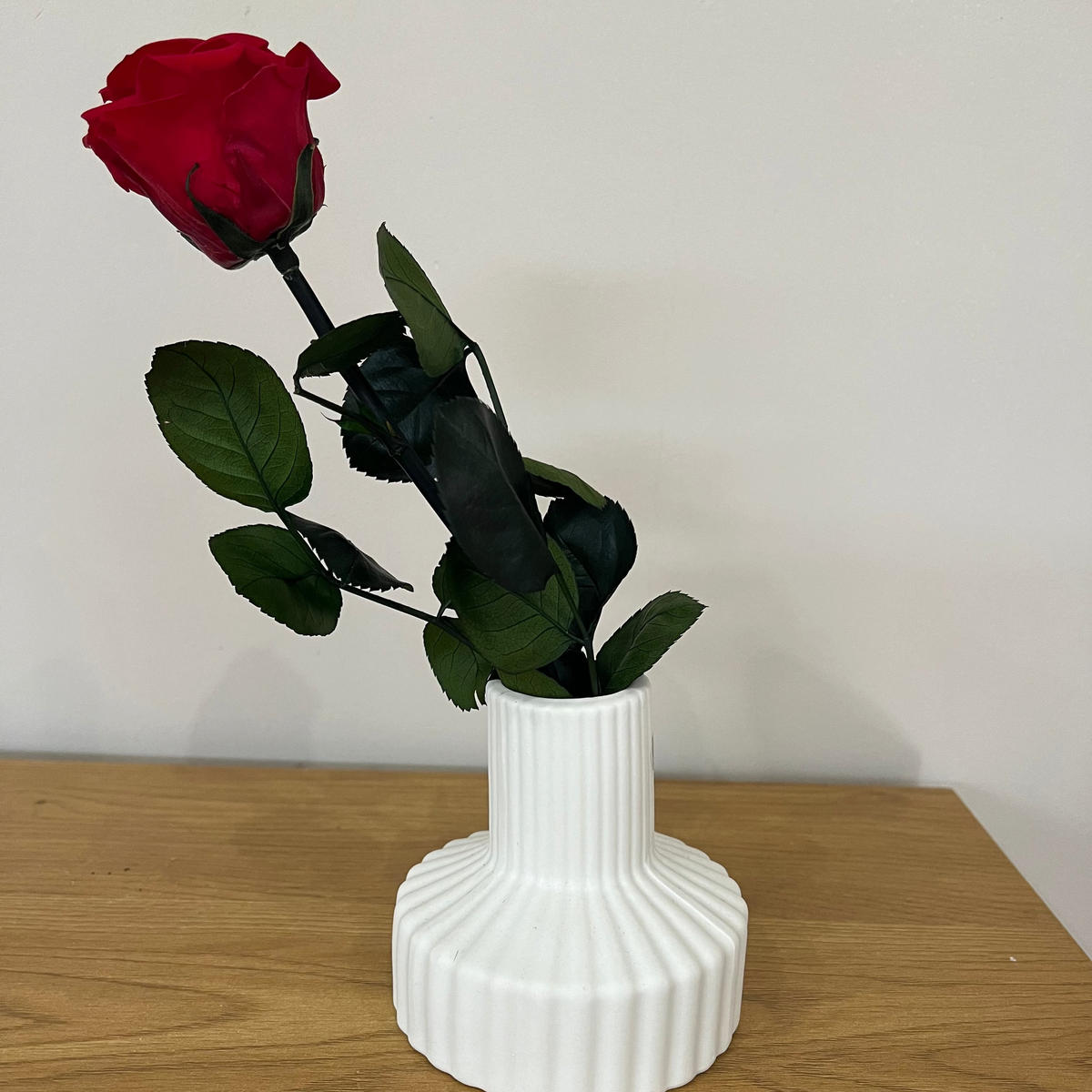 KONSERVIERTE/GEFRIERGETROCKNETE, Rosen: Zeitlose Eleganz für die Ewigkeit - weiß / 30 cm - Weiß, Naturmaterialien (30cm) - Lykke & You