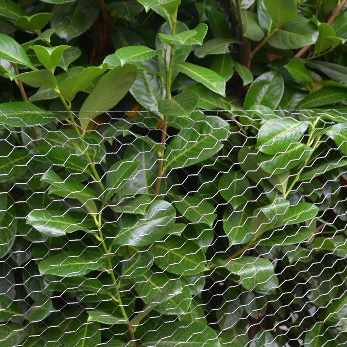 MASCHENDRAHTZAUN Quadratisch, 25 x0,5 m - Silberfarben, Metall (2.5/50cm) - Niederberg Metall