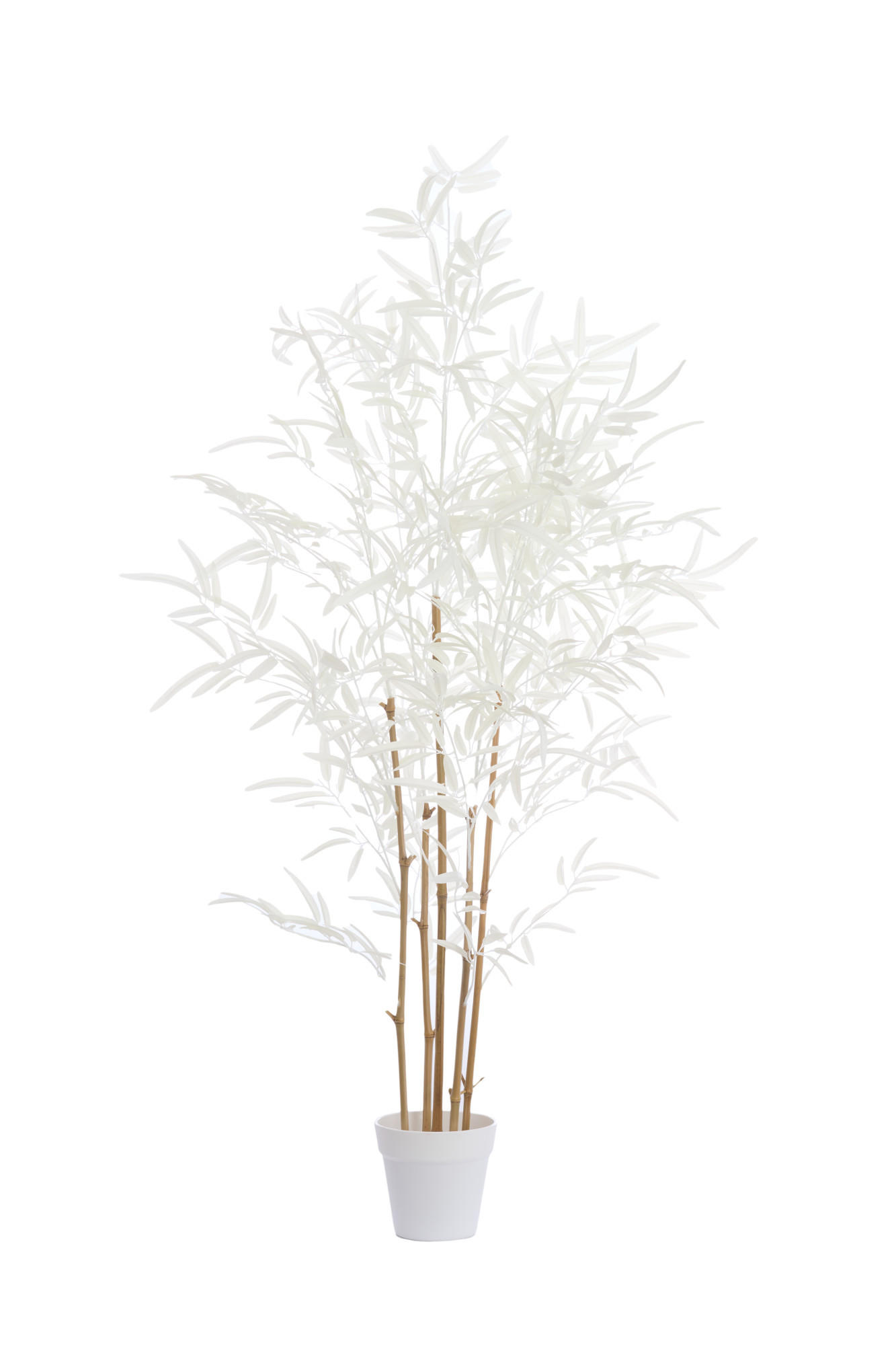 TOPF Bambus Braun 70/60/120 cm - Braun, Kunststoff (120cm) - Light & Living