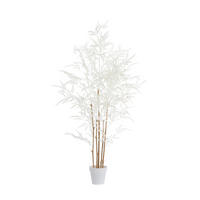 TOPF Bambus Braun 70/60/120 cm - Braun, Kunststoff (120cm) - Light & Living
