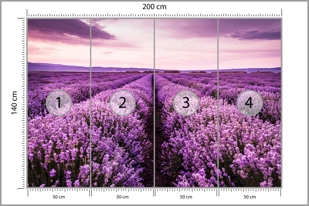 FOTOTAPETE für Schlafzimmer Lila Lavendel Wiese Harmonisch Romantisch 200x140 - Violett/Lila, Papier (200/140cm) - Muralo