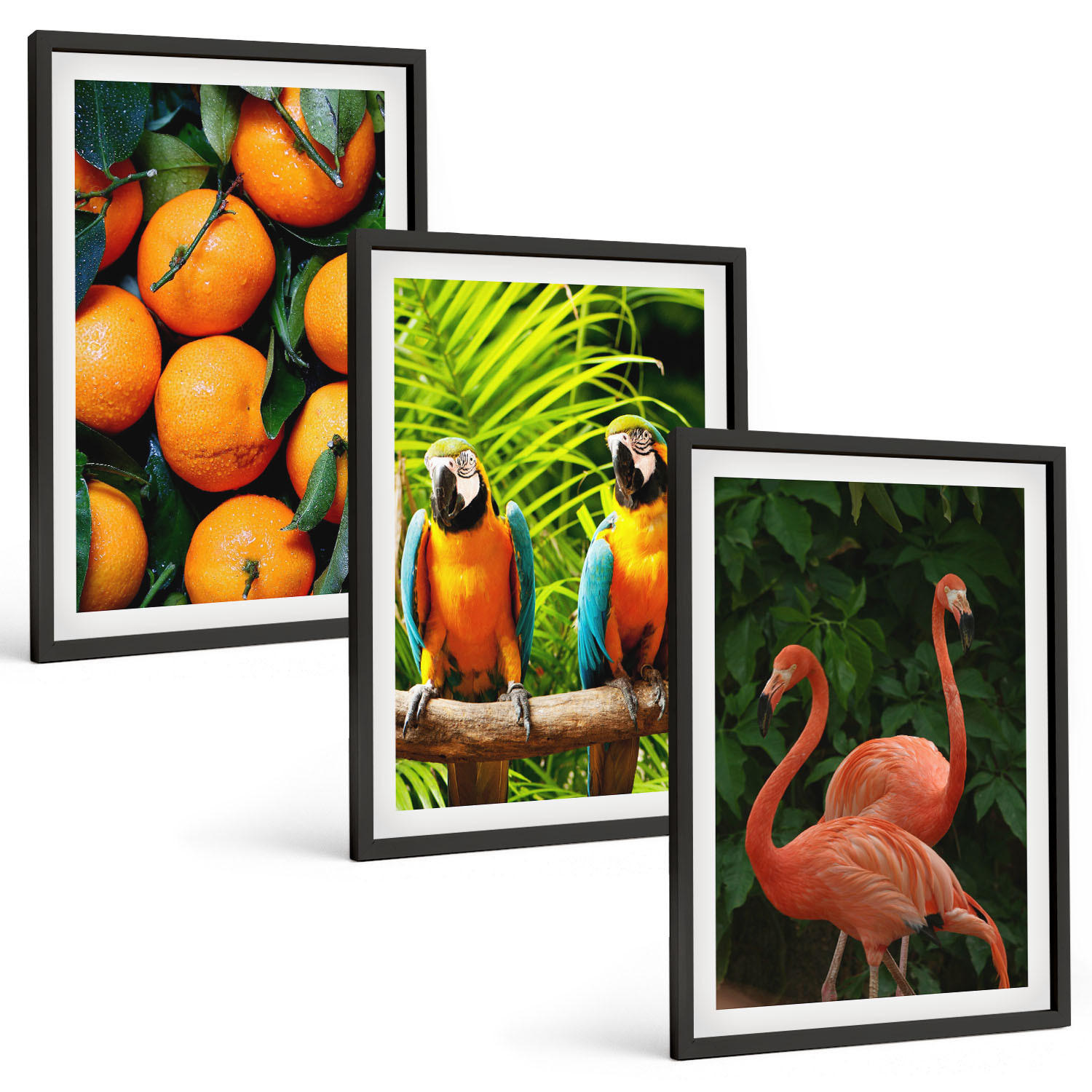 BILDER SET 3er Set - 40x60 cm Schwarzer Rahmen - Fruchtige Akzente in den Tropen - Schwarz, Kunststoff (40/60cm) - TULUP