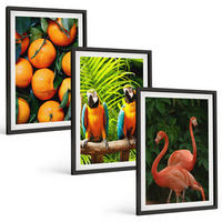 BILDER SET 3er Set - 40x60 cm Schwarzer Rahmen - Fruchtige Akzente in den Tropen - Schwarz, Kunststoff (40/60cm) - TULUP