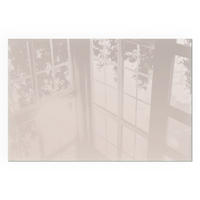 GLASPLATTE für Kamin 60x40 cm - Beige, Glas (60/40/0.4cm) - TULUP