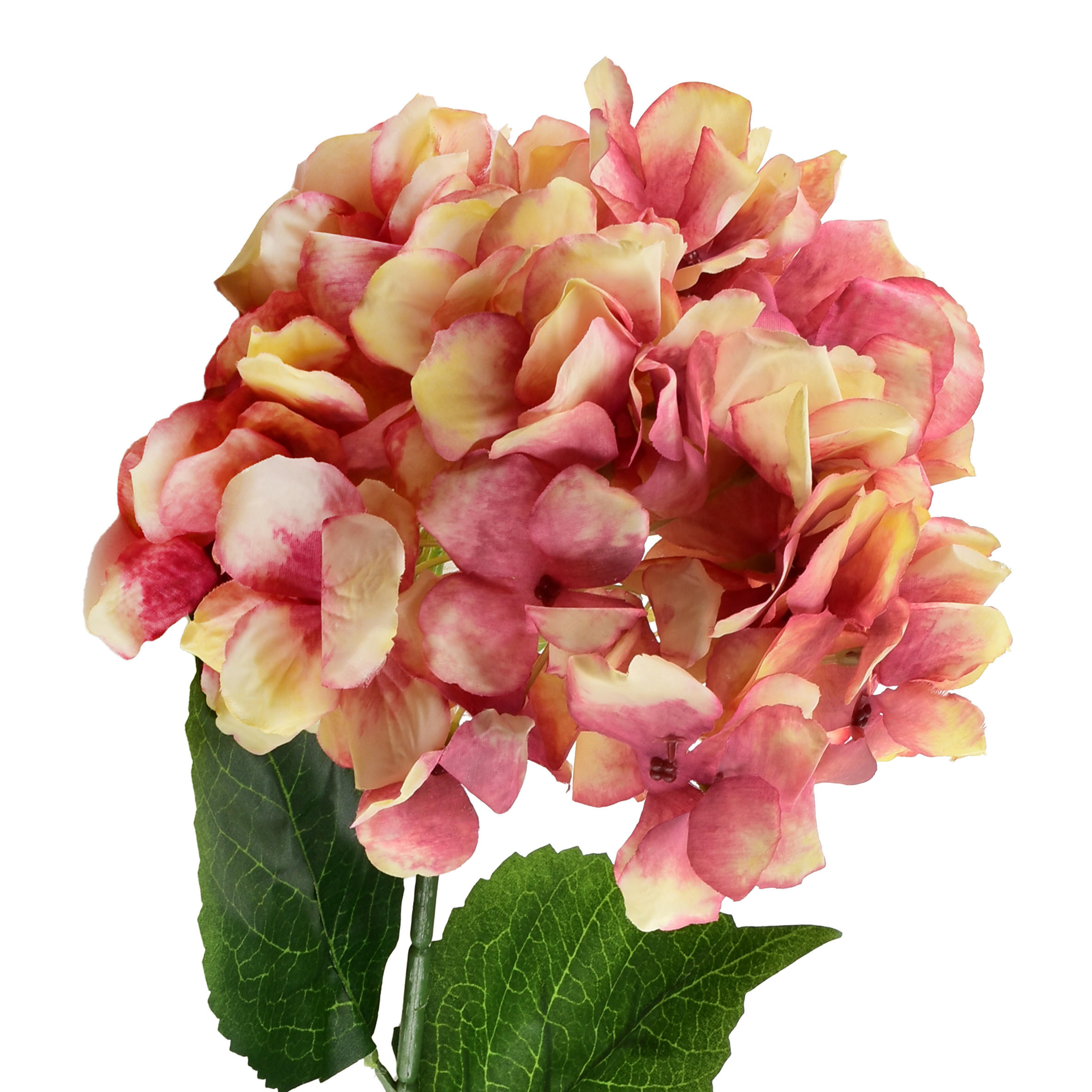 KUNSTBLUME Virdis Hortensia Mehrfarbig 73/73/73 cm Kunstoff - Multicolor, Kunststoff (73cm) - Mondex