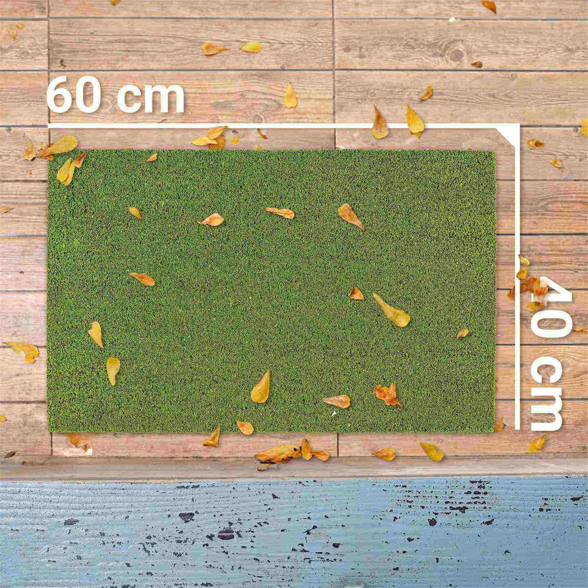 FUSSMATTE IN- UND OUTDOOR COCO COLOR T - Grün, Textil (40/60cm) - Astra