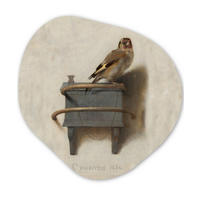 WANDBILD Stieglitz - Alter Meister - Carel Fabritius 40x40 cm - Grau, Kunststoff (40/40cm) - MuchoWow