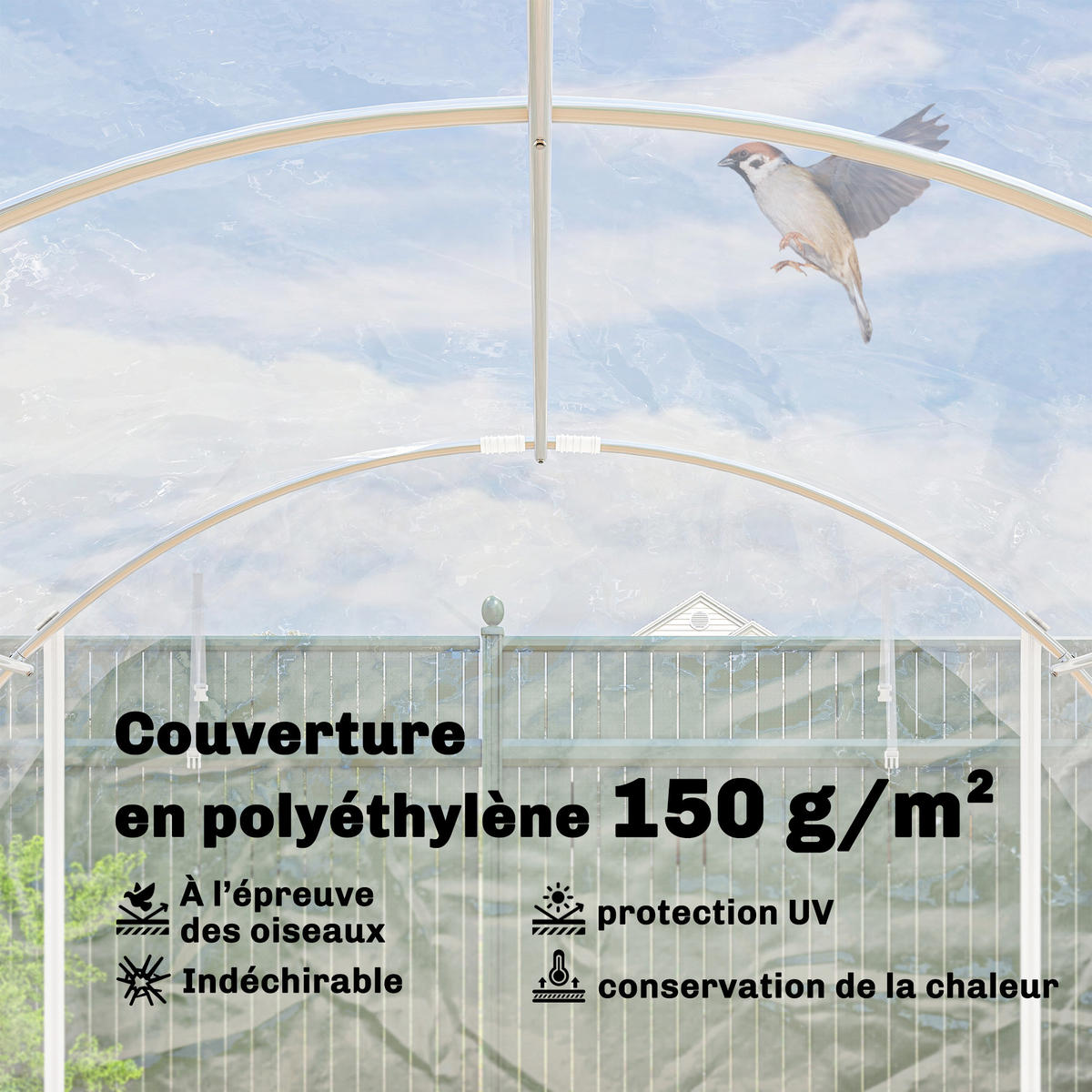 GEWÄCHSHAUS DE-12061 mit 2 Rolltüren & PE-Bache 150 g/m² Transparent - Transparent, Metall (296/199/597cm) - ComfortXL