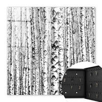 SCHLÜSSELBOX Schwarz 30x30 cm- Türöffnung nach rechts - Birkenwald - Weiß, Metall (30/30/5cm) - TULUP