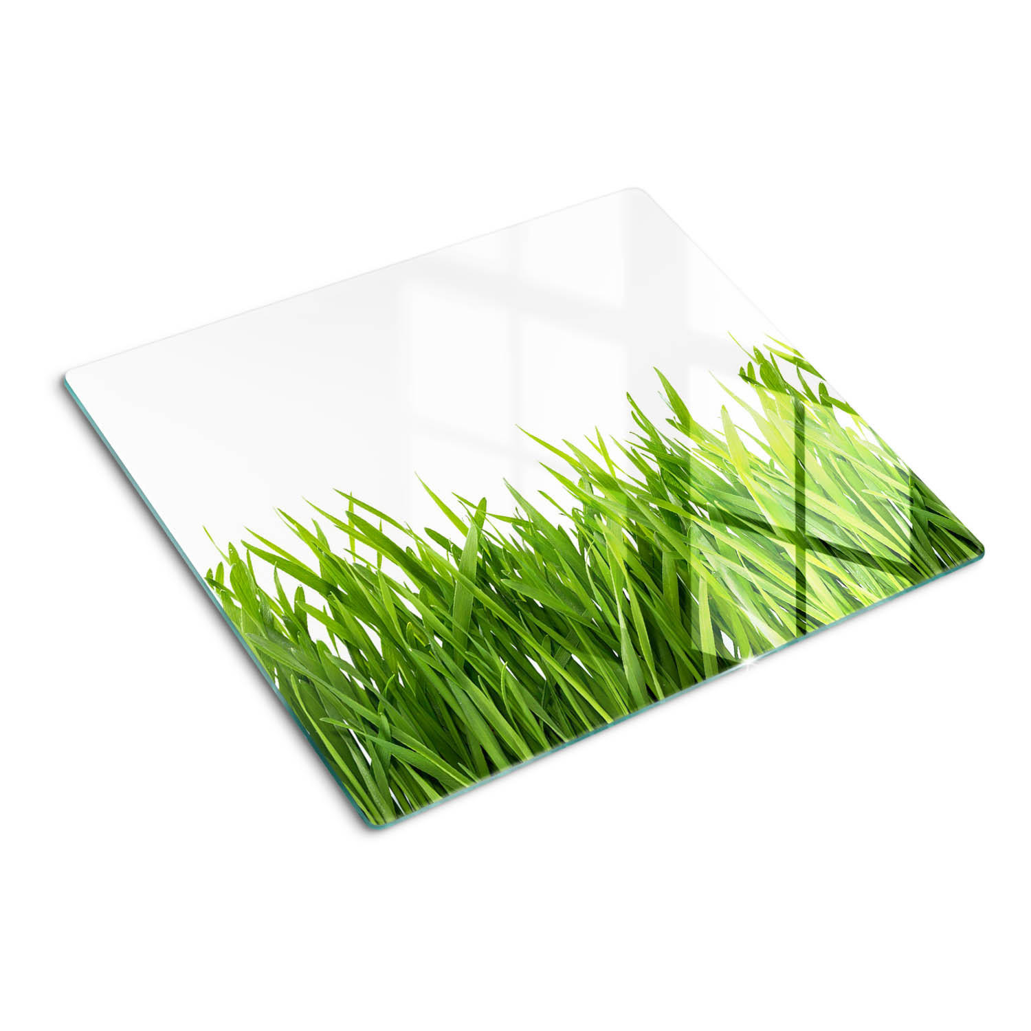 GLASPLATTE 60x52 cm Gras - Grün, Glas (60/0.4/52cm) - TULUP