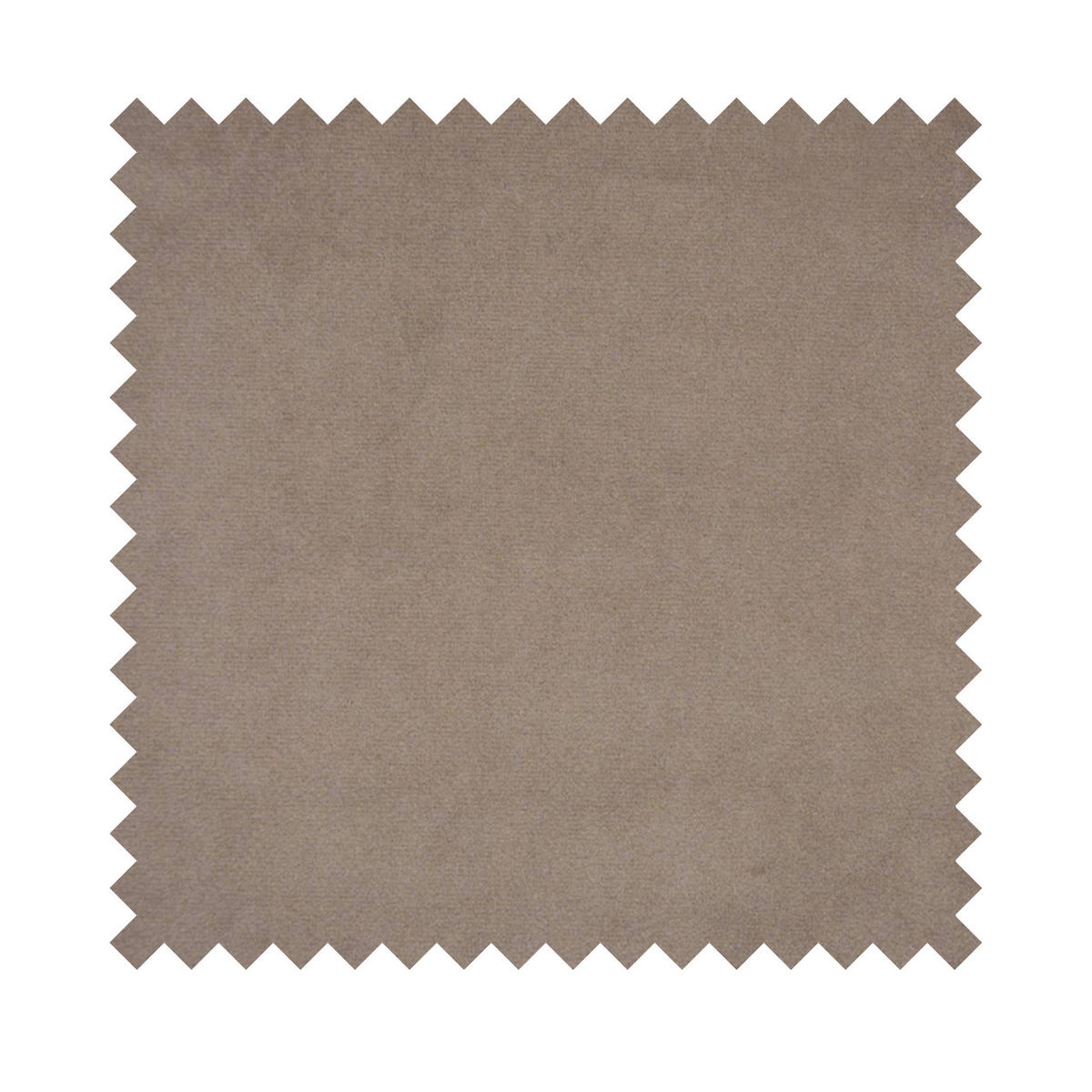 POLSTERBETT Verat Samt Dunkelgrau 160x200 cm - Taupe, Textil (160/200cm) - Selsey