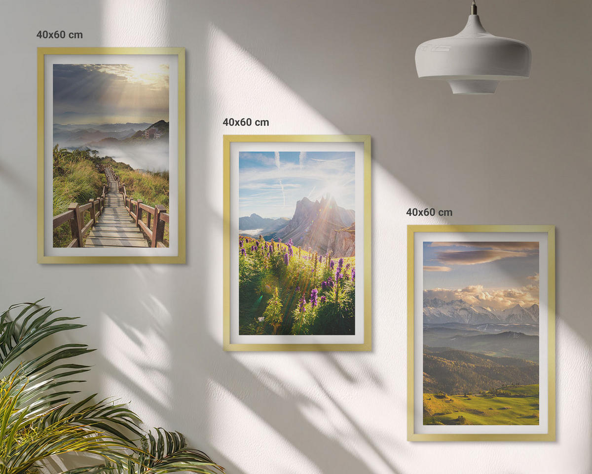 BILDER SET 3er Set - 40x60 cm Goldrahmen - Berglandschaft mit Blumen - Goldfarben, Kunststoff (40/60cm) - TULUP