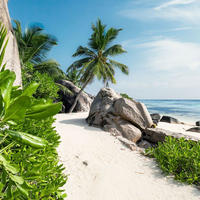 FOTOTAPETE Strand-Motiv 450 x 280 cm - Multicolor, Papier (450/280cm) - Sanders & Sanders