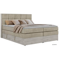 BOXSPRINGBETT ALNOR KING 160/200 - Beige Velvet - Topper T25 - H4 - Beige/Schwarz, Kunststoff/Textil (160/200cm) - MKS