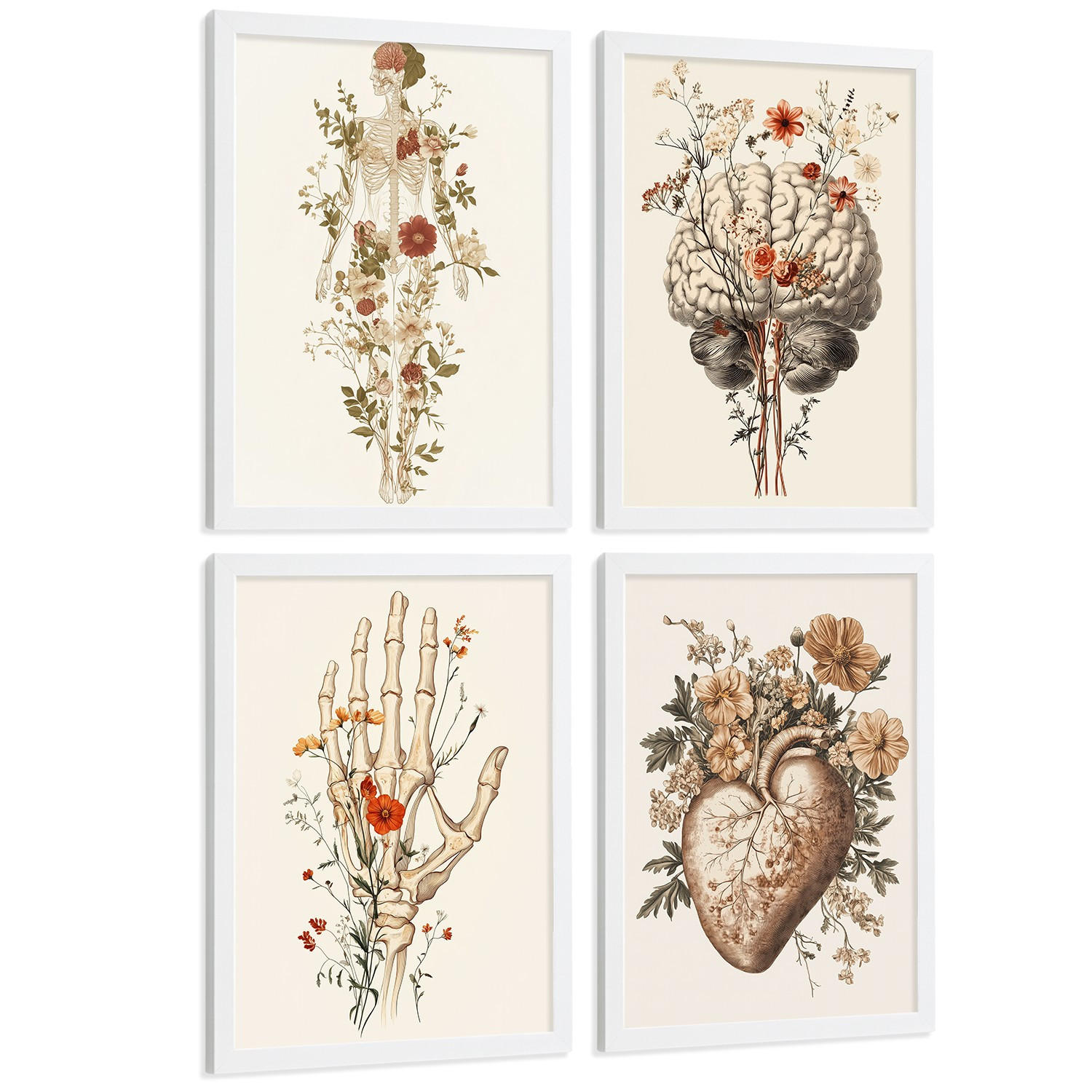 POSTER Set aus 4 Anatomie Mensch Dekorative Drucke und Wandbilder mit Blumen Ganzkörper Gehirn Hand und Herz Stil Größe Weißer Rahmen A3 - Weiß, Papier (29.7/42/3cm) - Nacnic