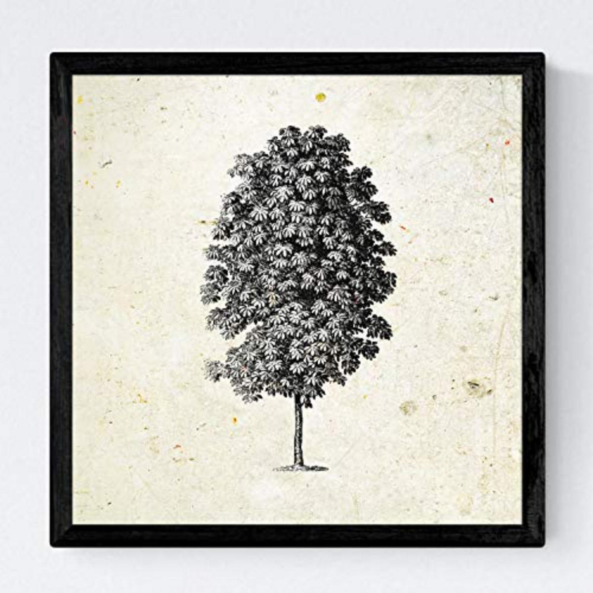 POSTER Set mit 4 Blättern der Baumstamm fein Jahrgang Hintergrund 20x20cm Rahmenlos - Klar, Papier (20/3cm) - Nacnic