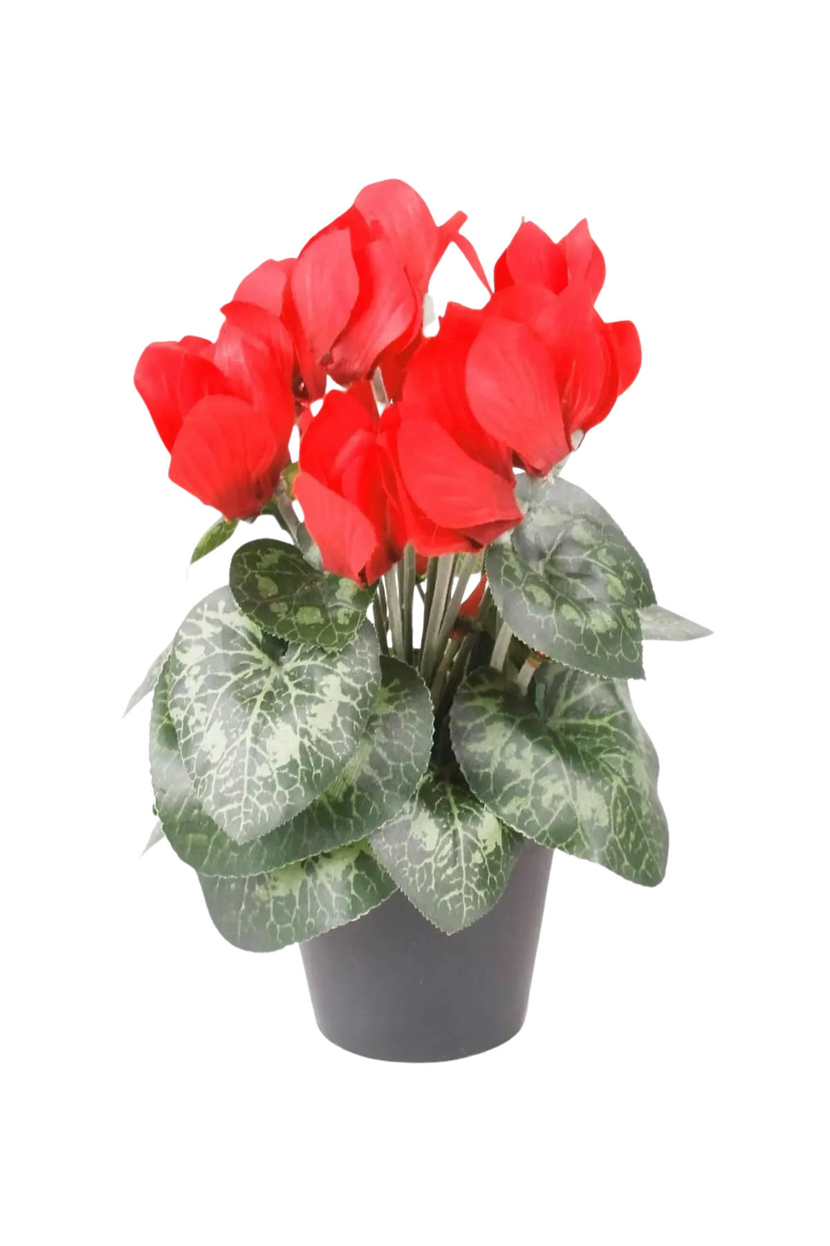 KUNSTBLUME Künstliches Alpenveilchen - Lia 25 cm - Grün, Kunststoff (25cm) - Emerald