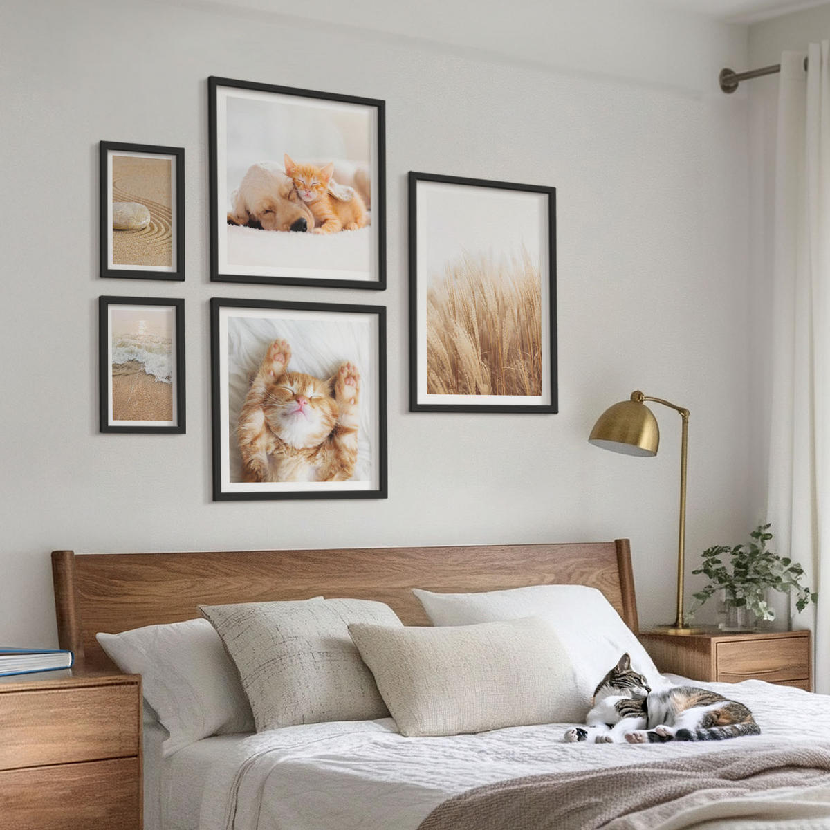 BILDER SET 5er Set - 50x50 cm & 20x30 cm & 40x60 cm Schwarzer Rahmen - Niedliche Tiere, Katzen, Hunde, Strand - Schwarz, Kunststoff (40/60cm) - TULUP