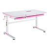 SCHÜLERSCHREIBTISCH Sauda - Pink/Weiß, Holzwerkstoff/Kunststoff (120/76/60cm) - [en.casa]