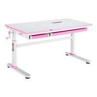 SCHÜLERSCHREIBTISCH Sauda - Pink/Weiß, Holzwerkstoff/Kunststoff (120/76/60cm) - [en.casa]