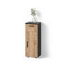 MIDISCHRANK Ronco Goldkraft Eiche/Anthrazit 30 x 81 cm - Anthrazit/Eiche Wotan, Holzwerkstoff (30/81/30cm) - Livinity®