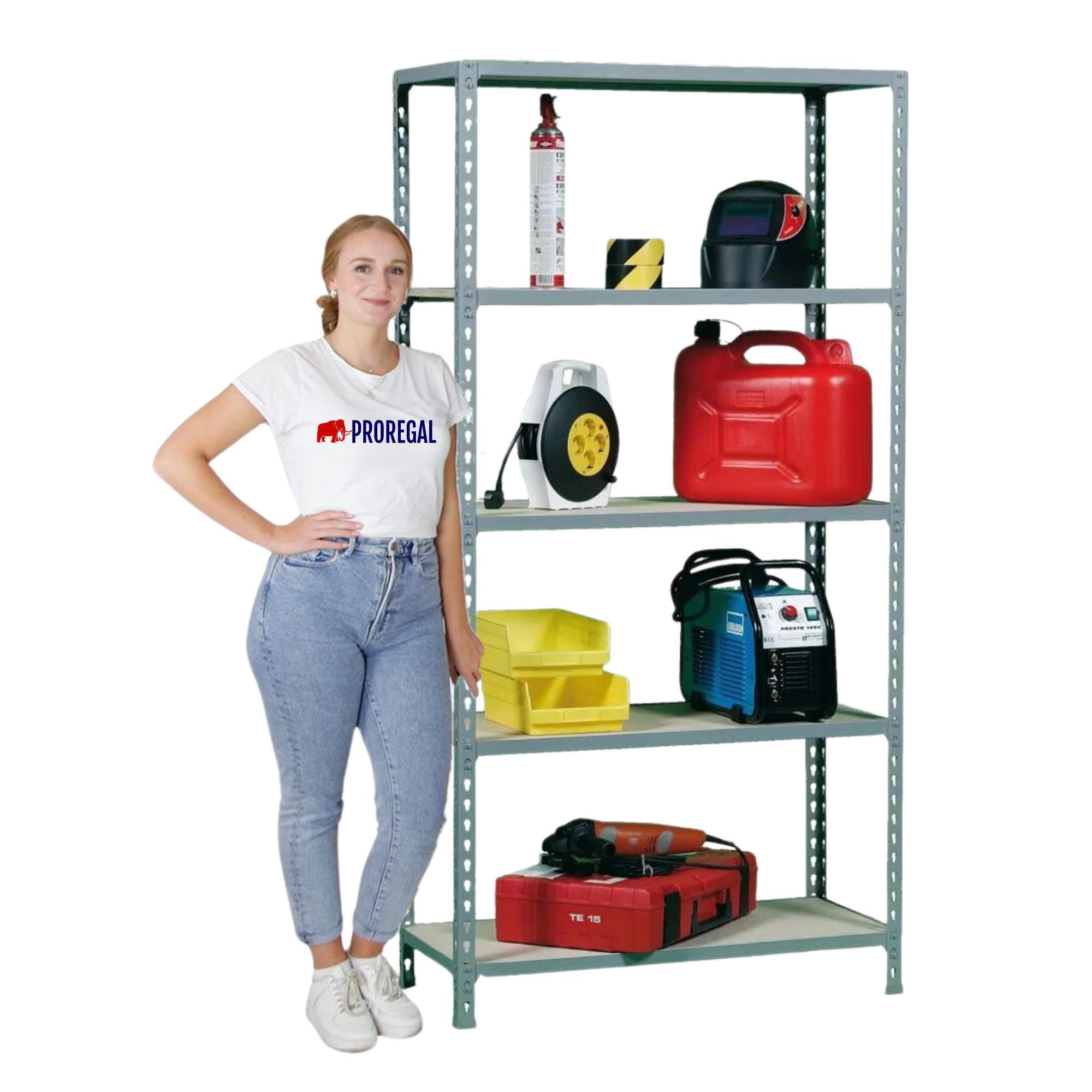 SCHWERLASTREGAL Big Muli HxBxT 200 x 120 x 50 cm 5 Fachböden Fachlast 200 kg Grau - Grau, Metall (120/200/50cm) - PROREGAL