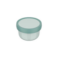 FRUCHTBOX Campus Cool Mint 300 ml - Mintgrün, Kunststoff (6.7/10.4/6.7cm) - Mepal