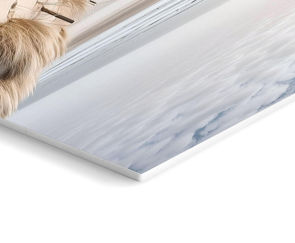 BILDBILDERSET 3er-Set 30x40 cm Meer Strand beige - Beige, Kunststoff (30/40cm) - artissimo