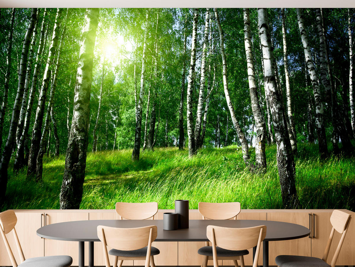 FOTOTAPETE für Wohnzimmer Grüner Birkenwald Gras Sonne Natur 200x140 - Schwarz/Weiß, Papier (200/140cm) - Muralo