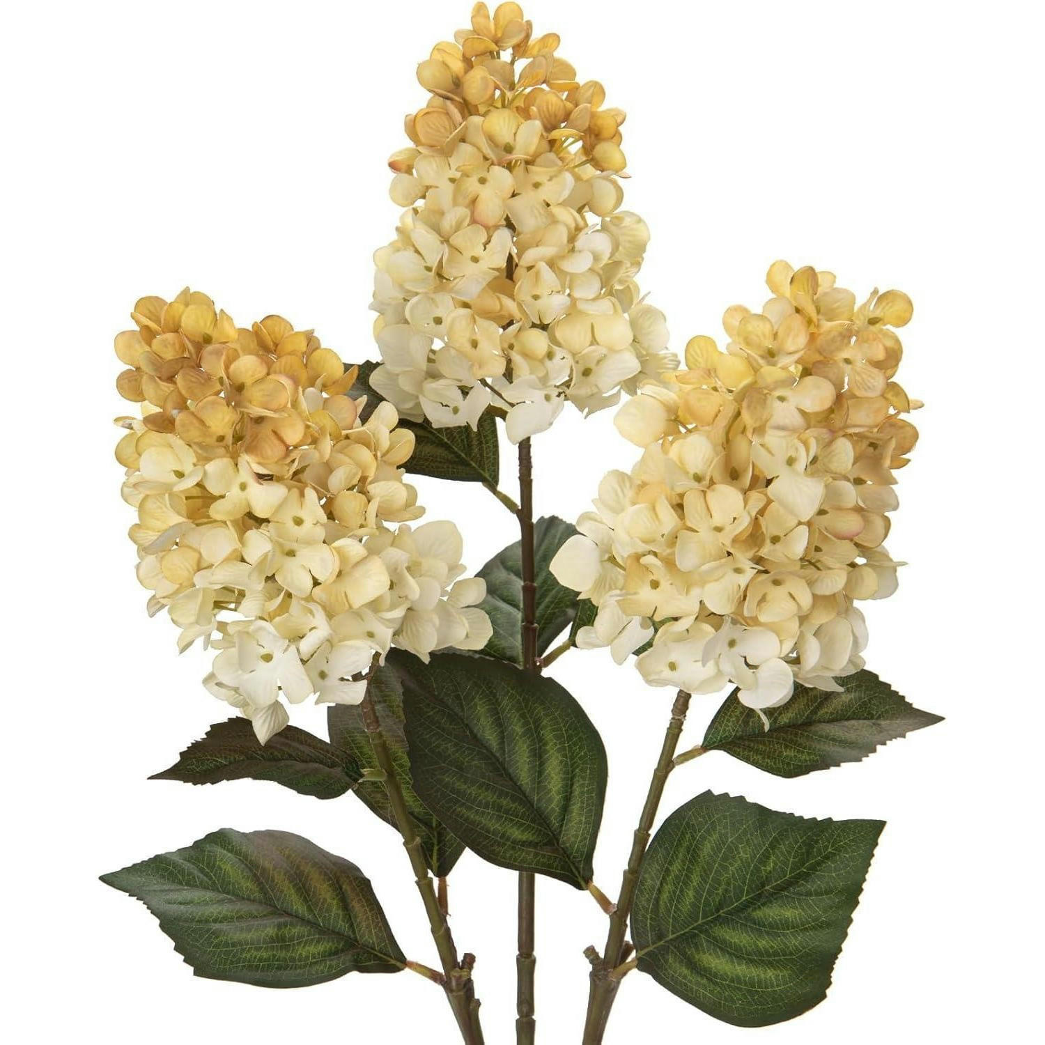 XXXLutz Kunstblumen Mehrfarbig 70 cm