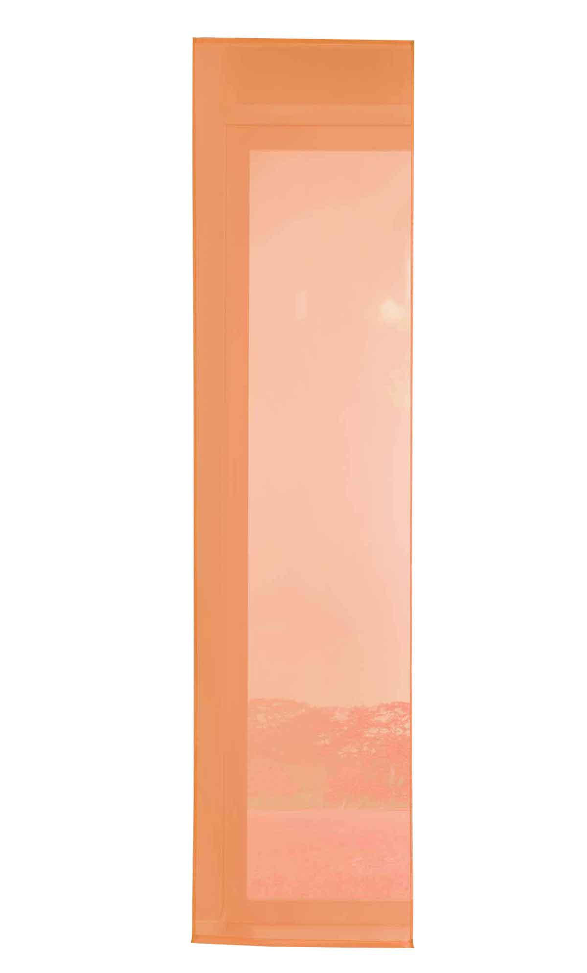 VORHANG HxB 245x60 cm Orange - Orange, Textil (60/245/245cm) - Gardinenbox