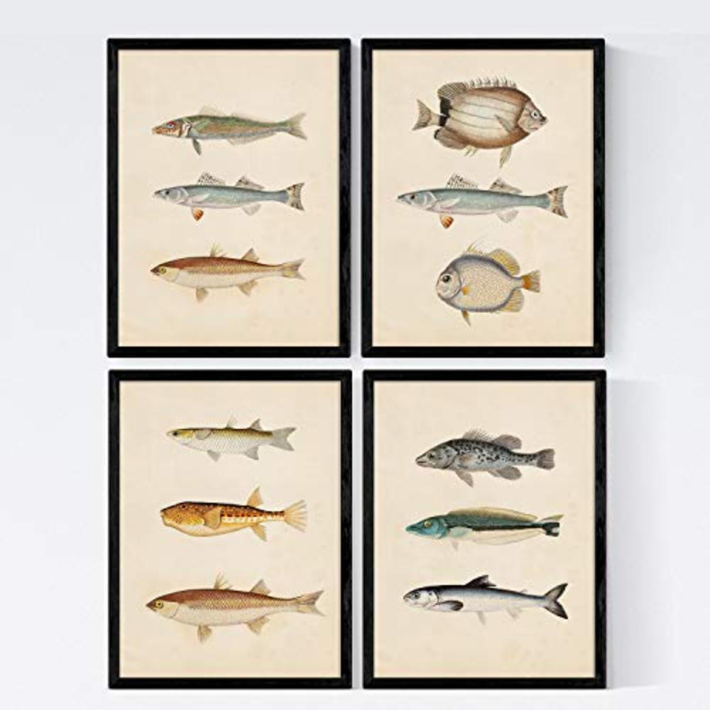 POSTER Set mit 4 Laptev von 12 verschiedenem Fisch A3 Rahmenlos - Klar, Papier (29.7/3cm) - Nacnic