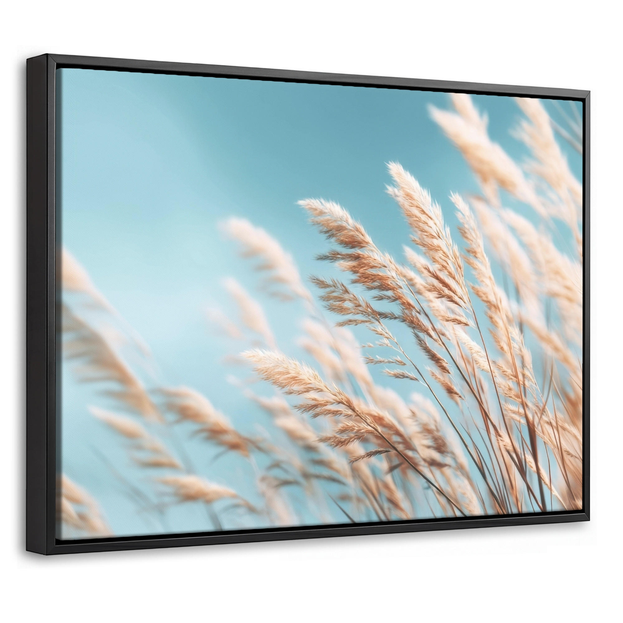 LEINWAND Bilder mit Rahmen - Ziergras - Wind - Hellbraun - 40x30 - Hellblau, Textil (40/30cm) - MuchoWow
