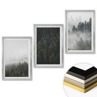 WANDBILDER 3er Set - 40x60 cm Silberner Rahmen - Grüne Wälder Nebel Natur - Silberfarben, Kunststoff (40/60cm) - ArtPrintCave
