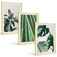 BILDER SET 3er Set - 40x60 cm Goldrahmen - Bambusstängel und Monstera-Blätter - Goldfarben, Kunststoff (40/60cm) - TULUP