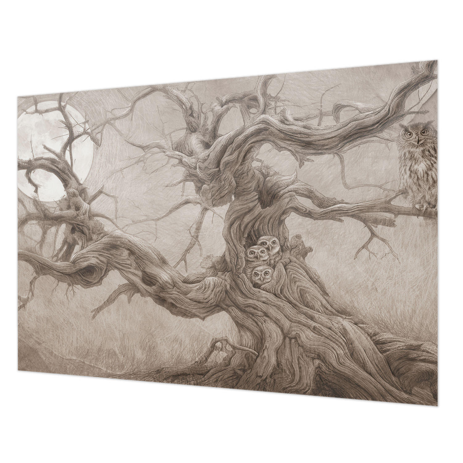FOTOTAPETE 312x219 cm - Nachtvögel - Beige, Textil (312/219cm) - Wallfluent