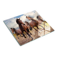 GLASPLATTE 60x52 cm Fünf Pferde - Sandfarben, Glas (60/52cm) - TULUP