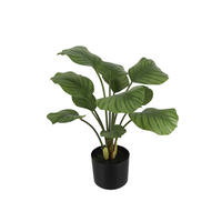 KUNSTPFLANZE Künstliche Calathea - Jamila 58 cm - Grün, Kunststoff (58cm) - aplanta