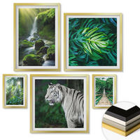 WANDBILDER 5er Set - 50x50 cm & 20x30 cm & 40x60 cm Goldrahmen - Dschungel-Weißtiger-Wasserfall - Goldfarben, Kunststoff (40/60cm) - ArtPrintCave