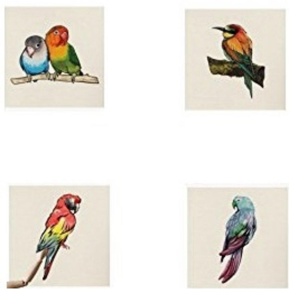 POSTER Set Mit 2 Vögel Tiere 15X15cm Rahmenlos - Klar, Papier (15/5/15cm) - Nacnic