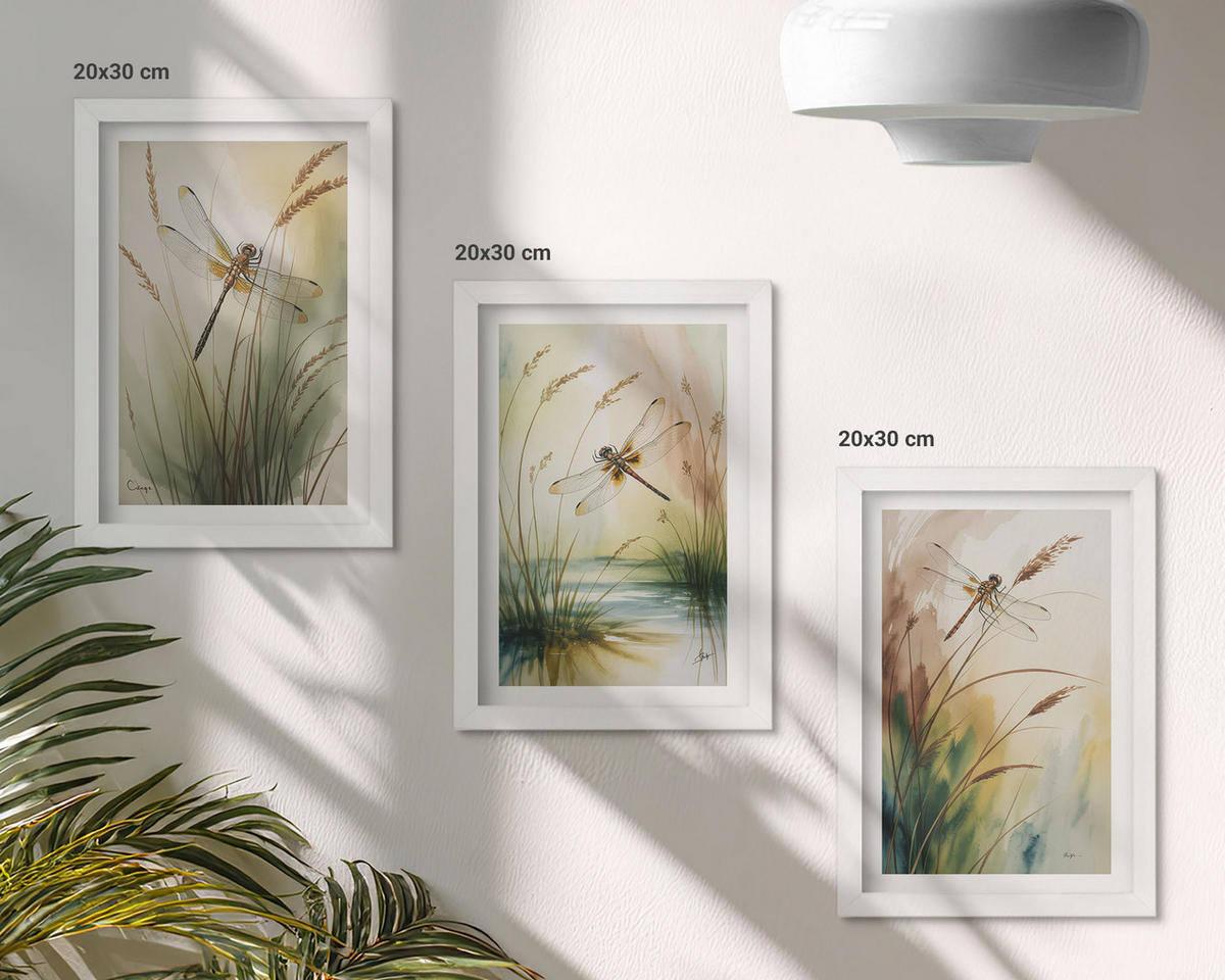 BILDER SET 3er Set - 20x30 cm Weißer Rahmen - Libellen im Gras, Wassermalerei - Weiß, Kunststoff (20/30cm) - TULUP