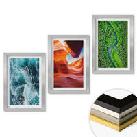 WANDBILDER 3er Set - 20x30 cm Silberner Rahmen - Wasserbewegung Canyon grüner Wald - Silberfarben, Kunststoff (20/30cm) - ArtPrintCave