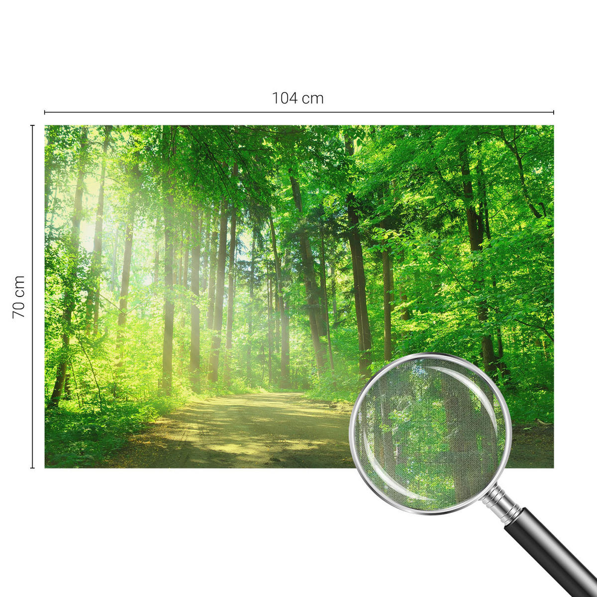 FOTOTAPETE 104x70 cm - Waldweg - Grün, Textil (104/70cm) - Wallfluent