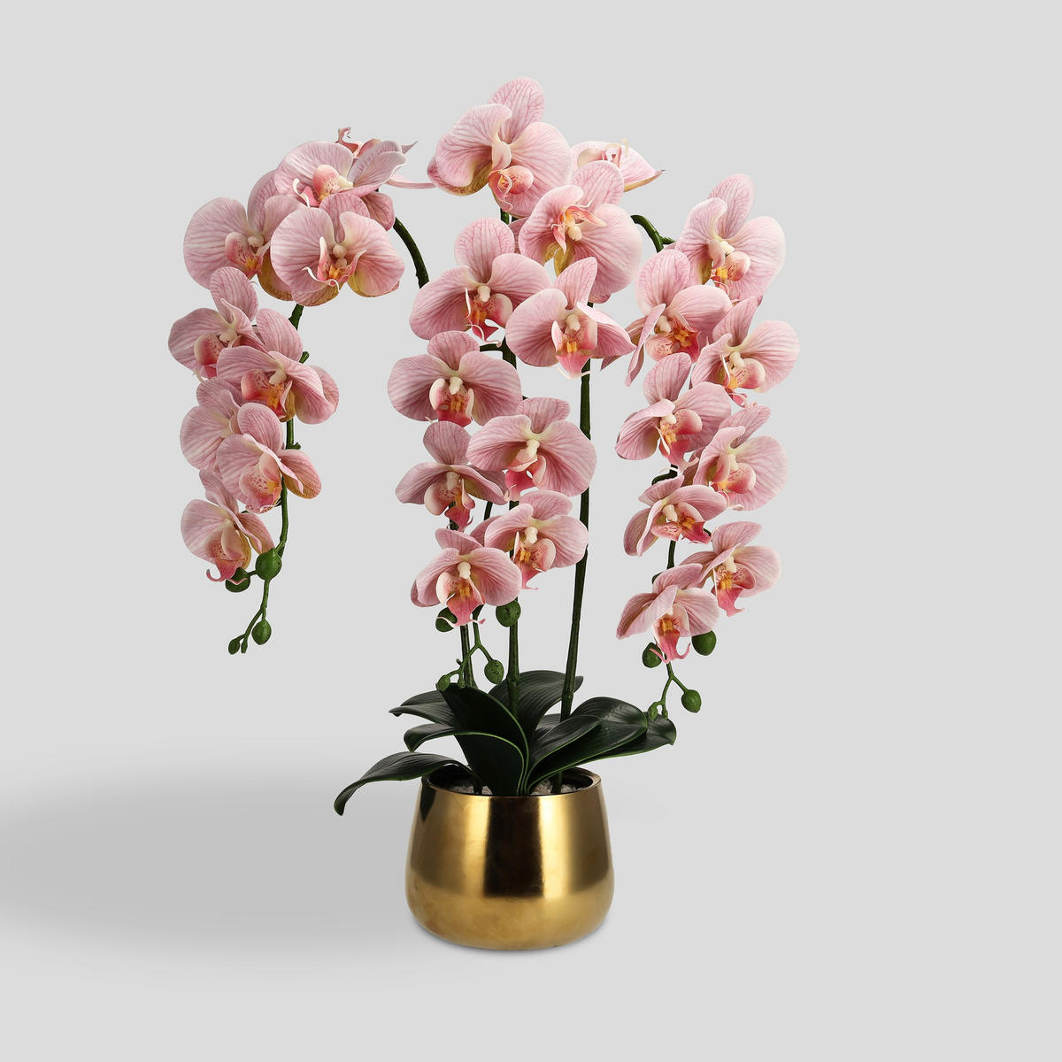 KUNSTBLUMEN Orchidiso - Rosa, Kunststoff (67.31cm) - home&you