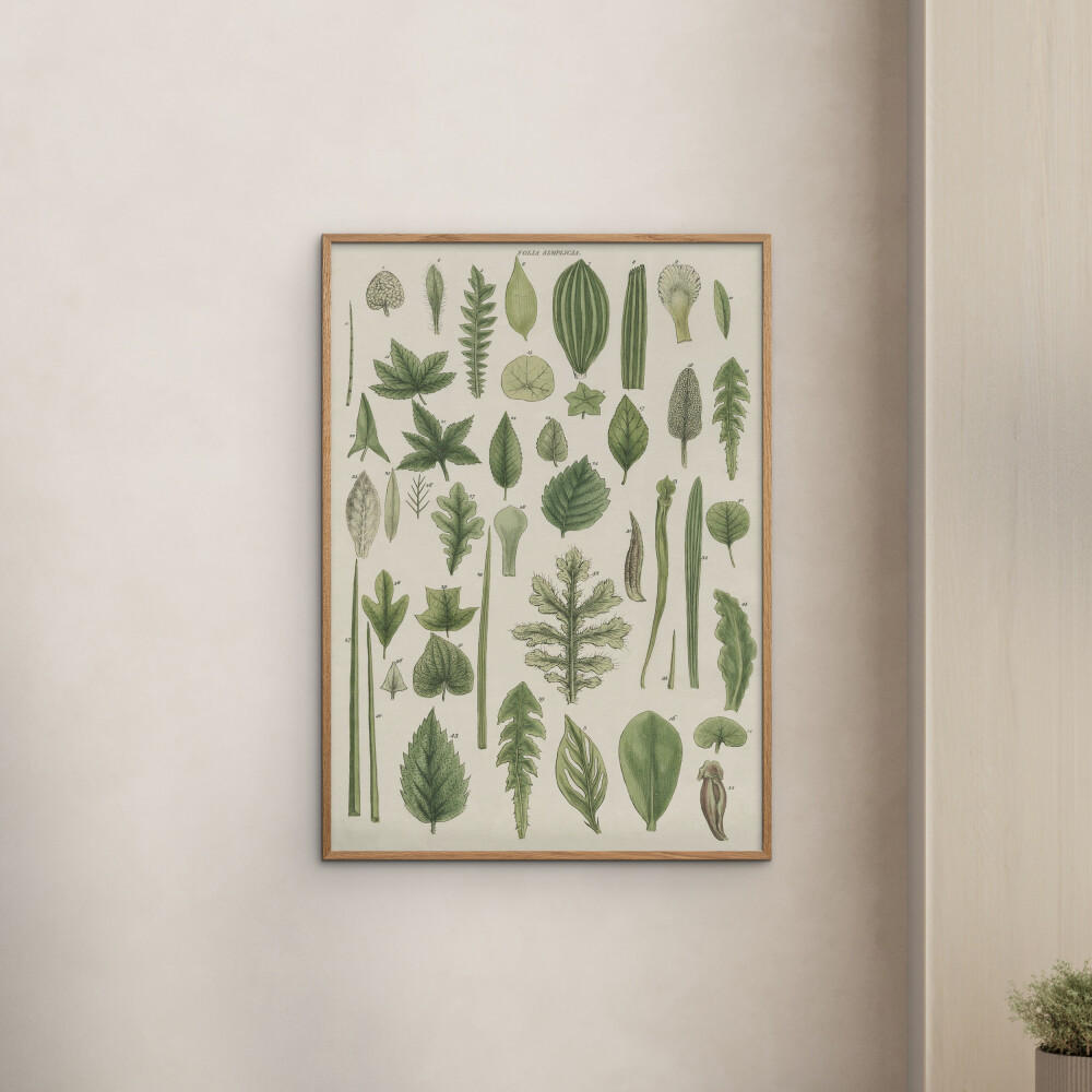 POSTER mit Rahmen Wild Apple - Assortment of Leaves II - Eichefarben/Grün, Holz/Papier (50/70cm) - Poster&Frame