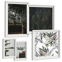 BILDER SET 5er Set - 50x50 cm & 20x30 cm & 40x60 cm Weißer Rahmen - Rustikale Topfpflanzen - Weiß, Kunststoff (40/60cm) - TULUP