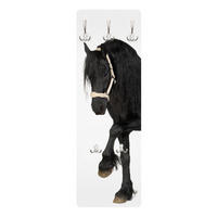 WANDGARDEROBE - Friesenstute 34/105 cm - Schwarz, Holzwerkstoff (34/105/1.6cm) - Bilderwelten