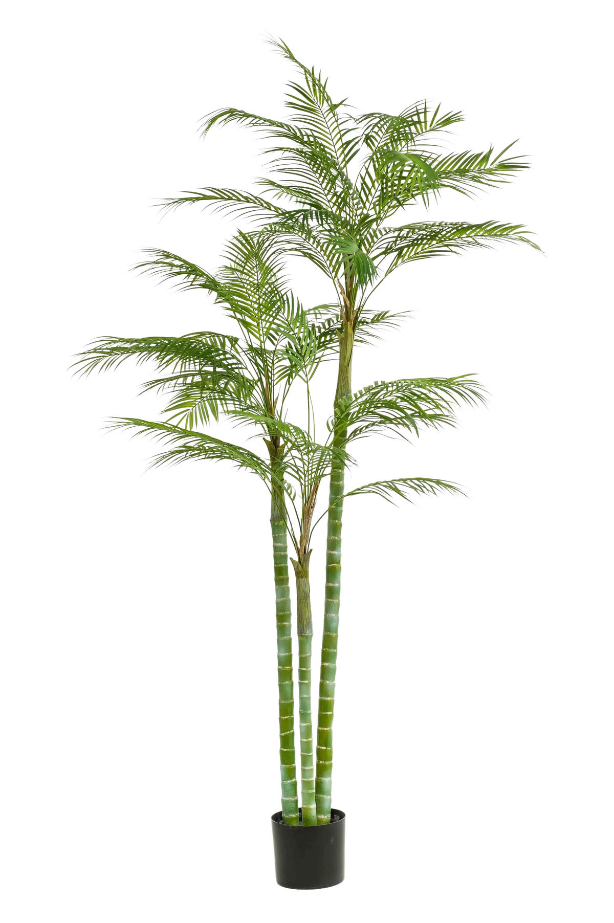 ARECA PALMEN Künstliche Areca Palme - Paolo 195 cm - Grün, Kunststoff (195cm) - Emerald
