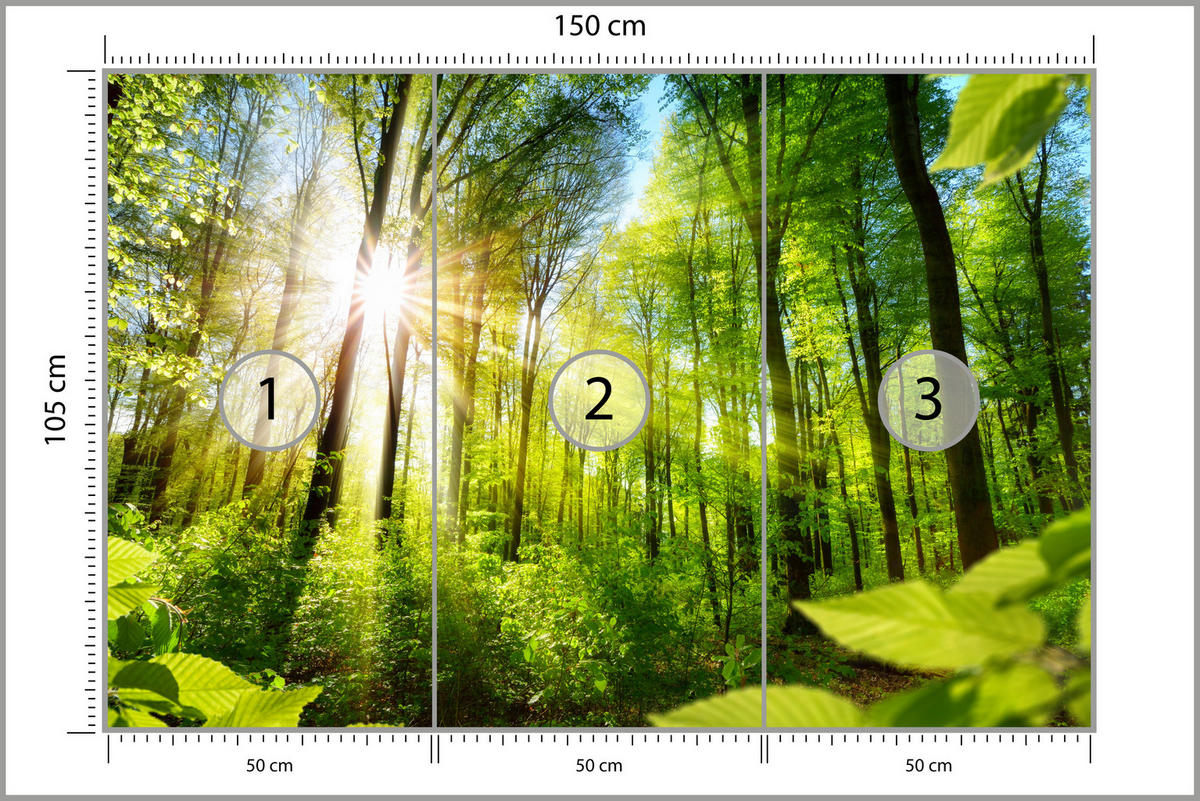 FOTOTAPETA Pre Obývaciu Izbu Východ Slnka Medzi Stromami Les 150 x 105 cm - žltá/zelená, papier (150/105cm) - Muralo